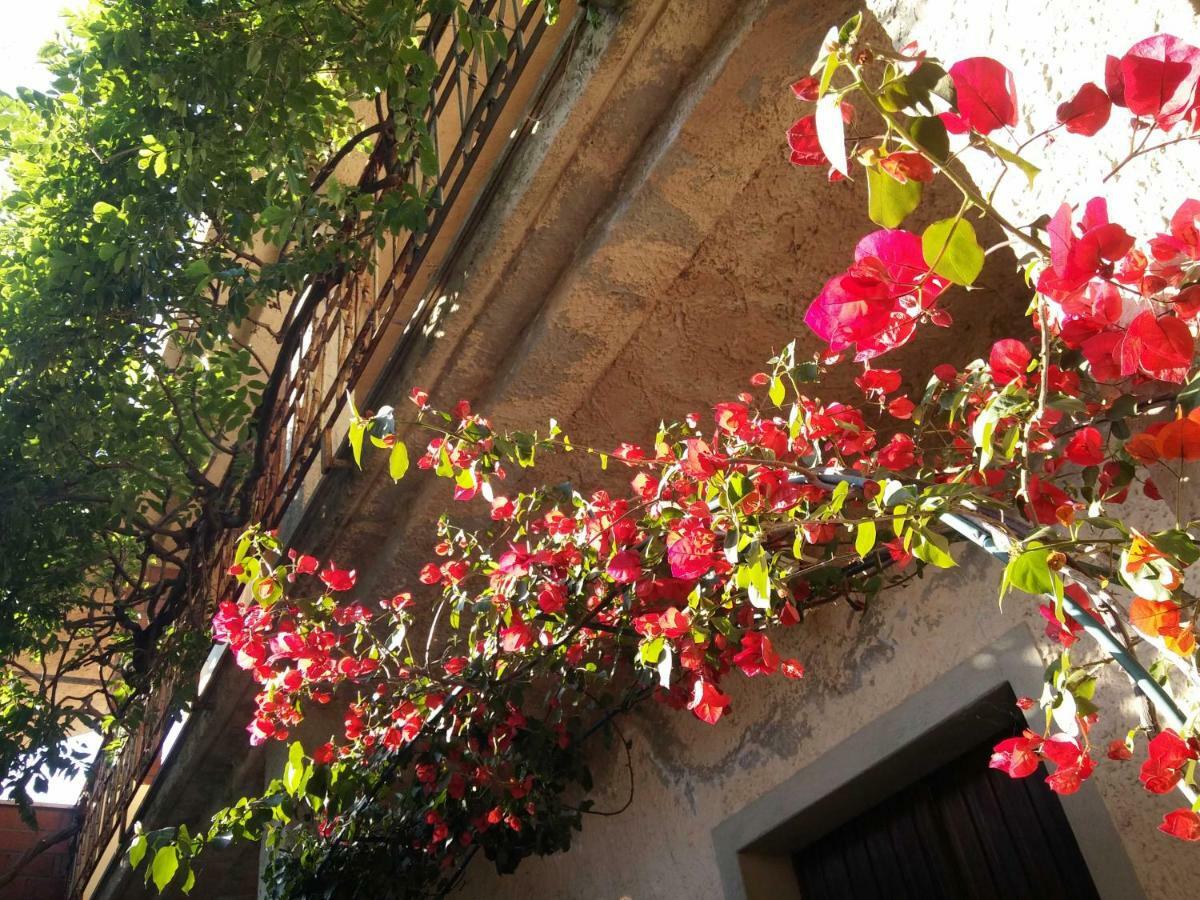 Bed and Breakfast Zia Chiarina à San Nicolo Gerrei Extérieur photo
