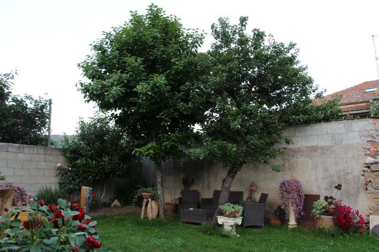 Bed and Breakfast Zia Chiarina à San Nicolo Gerrei Extérieur photo