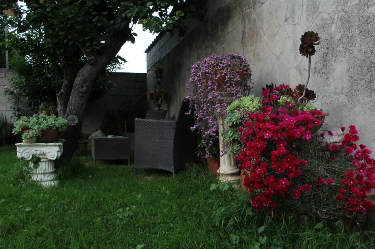 Bed and Breakfast Zia Chiarina à San Nicolo Gerrei Extérieur photo